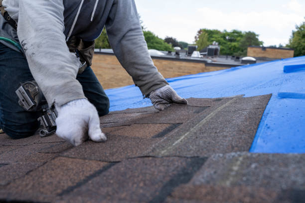 Roof Gutter Cleaning in Coalgate, OK